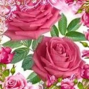 Meet your Posher, Sh ahmad